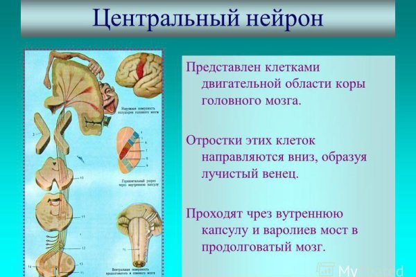 Кракен портал