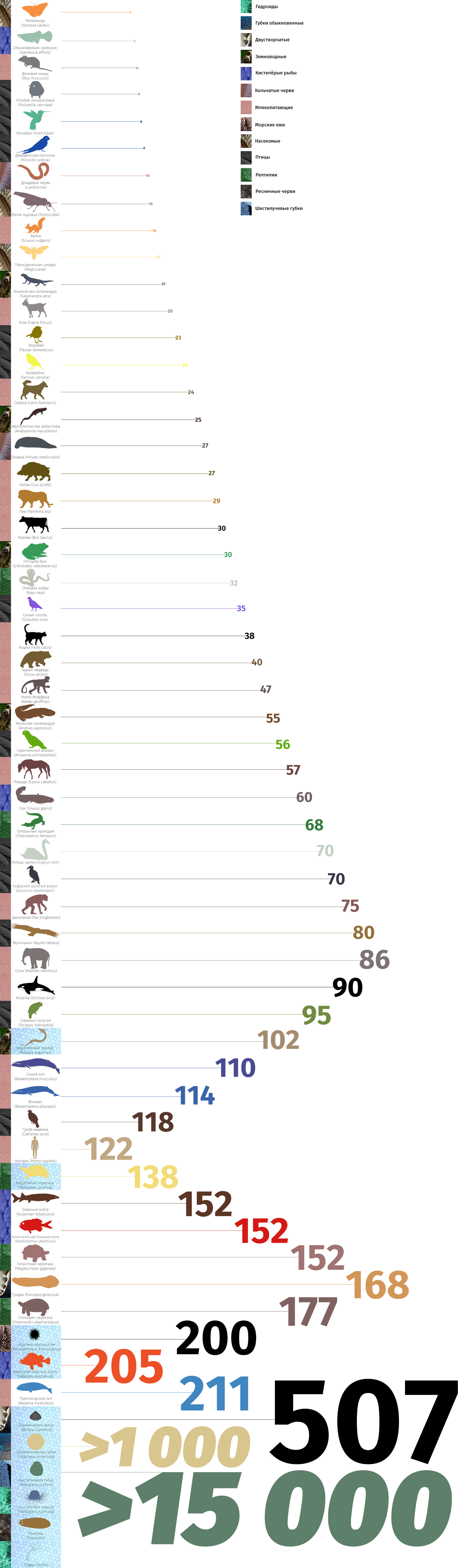 Рабочий сайт kraken